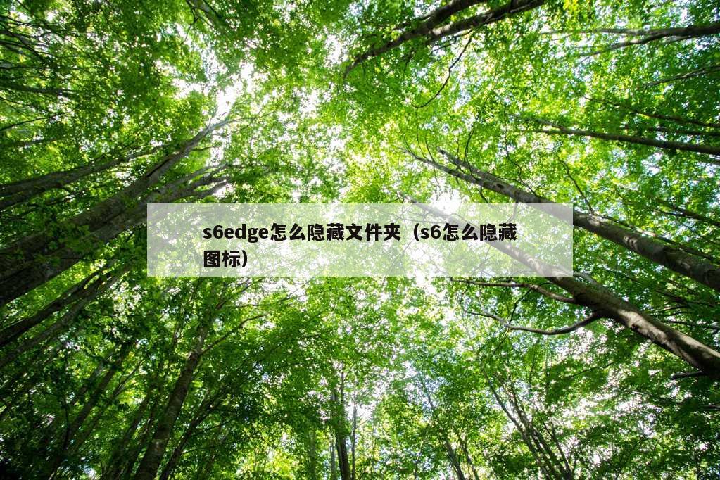 s6edge怎么隐藏文件夹（s6怎么隐藏图标）