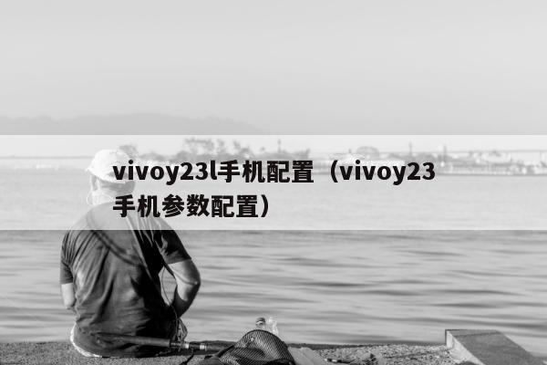 vivoy23l手机配置（vivoy23手机参数配置）