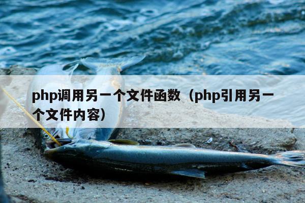 php调用另一个文件函数（php引用另一个文件内容）