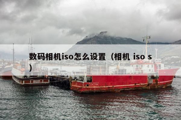 数码相机iso怎么设置（相机 iso s）