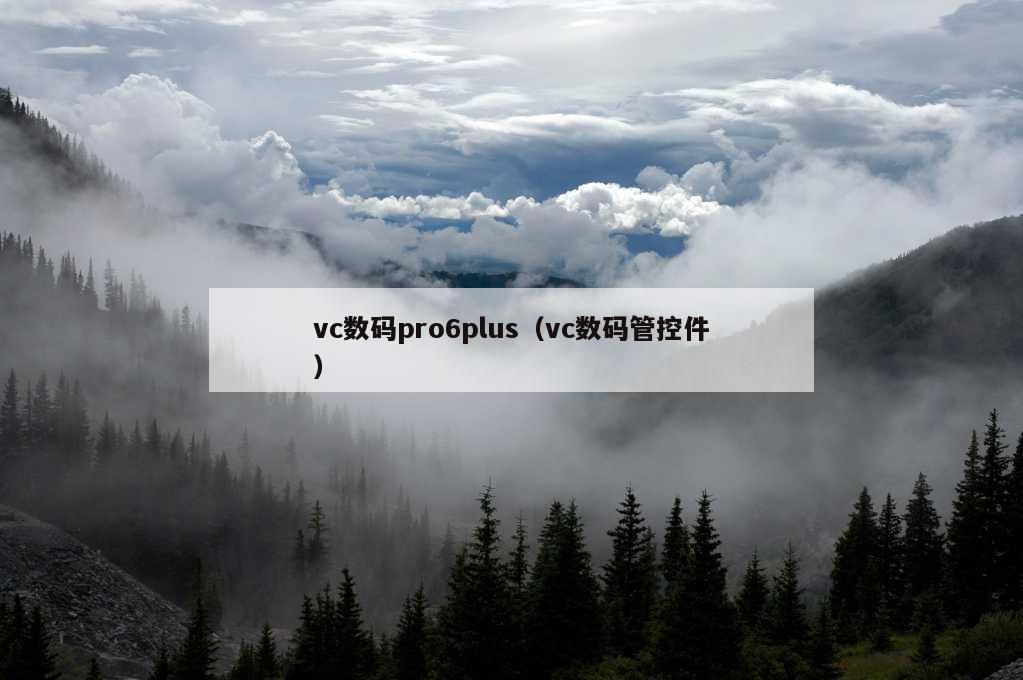 vc数码pro6plus（vc数码管控件）