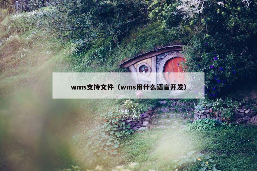 wms支持文件（wms用什么语言开发）