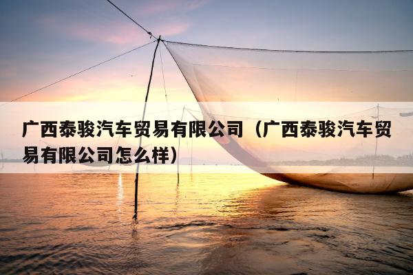 广西泰骏汽车贸易有限公司（广西泰骏汽车贸易有限公司怎么样）