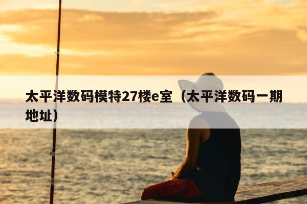 太平洋数码模特27楼e室（太平洋数码一期地址）