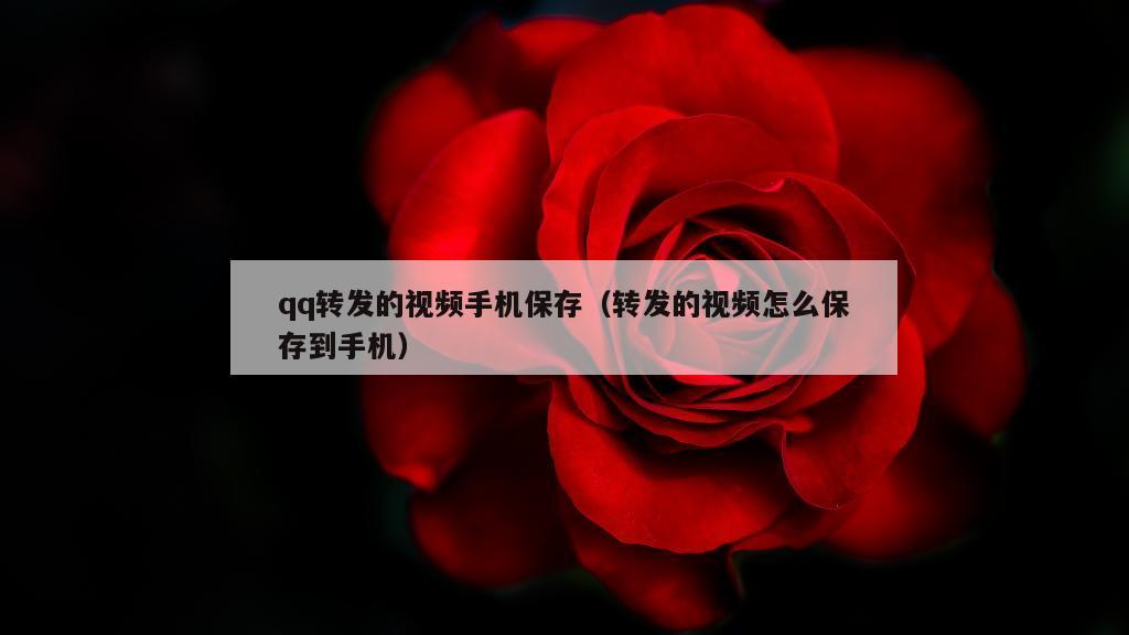 qq转发的视频手机保存（转发的视频怎么保存到手机）