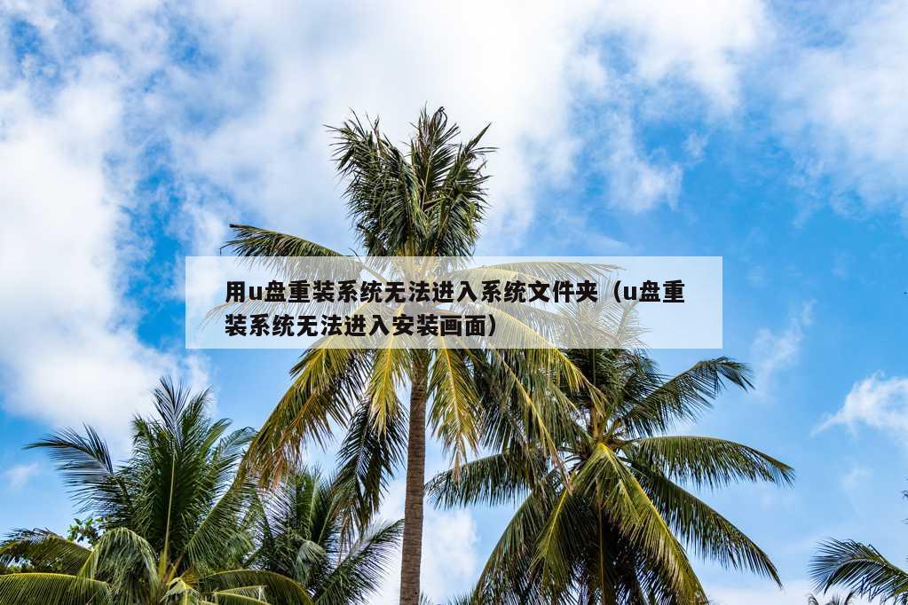 用u盘重装系统无法进入系统文件夹（u盘重装系统无法进入安装画面）