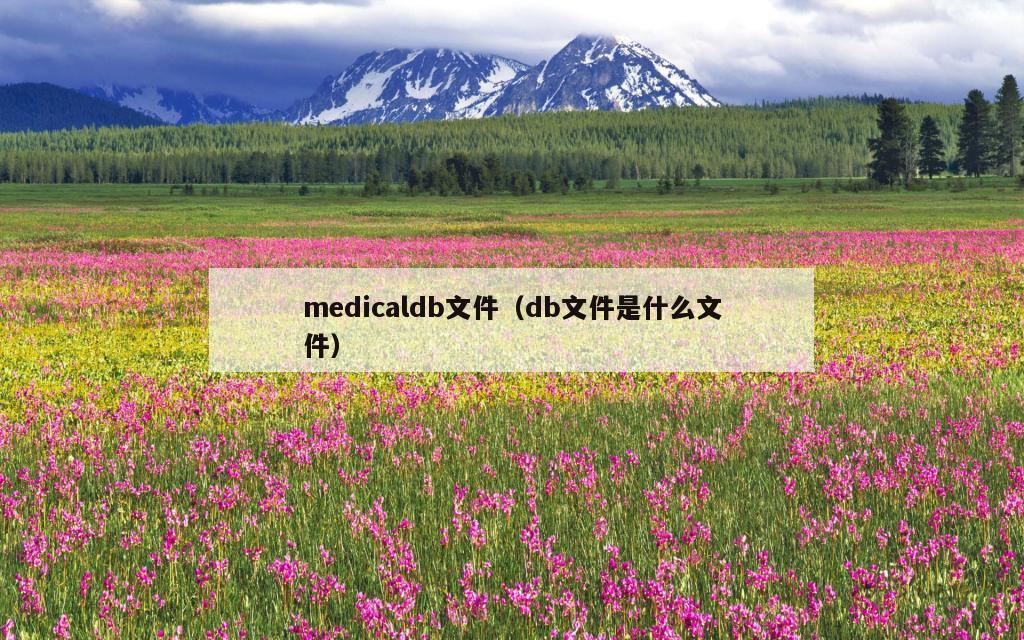 medicaldb文件（db文件是什么文件）