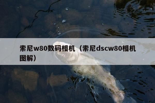 索尼w80数码相机（索尼dscw80相机图解）