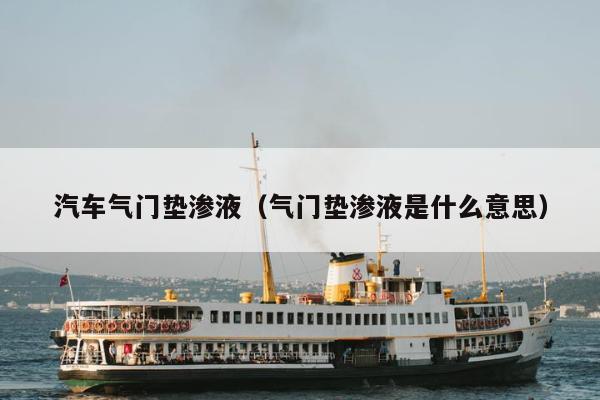 汽车气门垫渗液（气门垫渗液是什么意思）