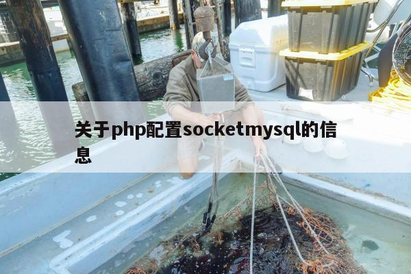 关于php配置socketmysql的信息