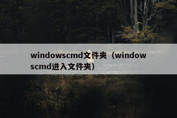 windowscmd文件夹（windowscmd进入文件夹）