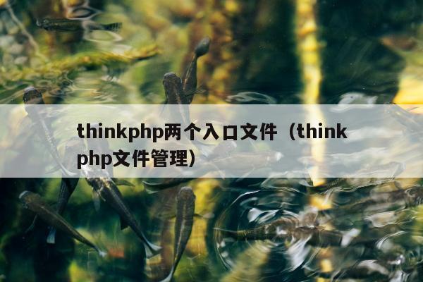 thinkphp两个入口文件（thinkphp文件管理）