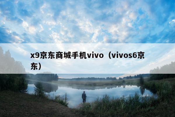 x9京东商城手机vivo（vivos6京东）