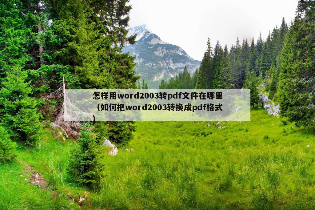 怎样用word2003转pdf文件在哪里（如何把word2003转换成pdf格式）