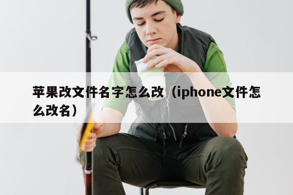 苹果改文件名字怎么改（iphone文件怎么改名）