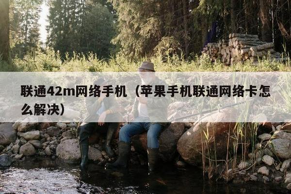 联通42m网络手机（苹果手机联通网络卡怎么解决）