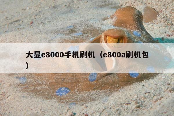 大显e8000手机刷机（e800a刷机包）