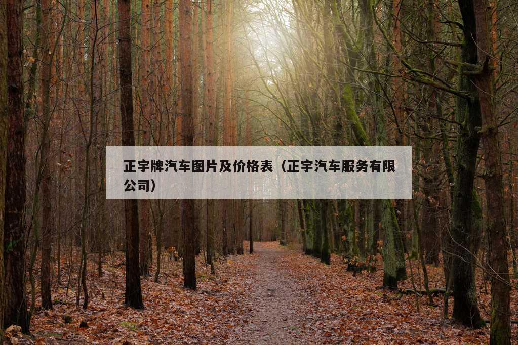 正宇牌汽车图片及价格表（正宇汽车服务有限公司）