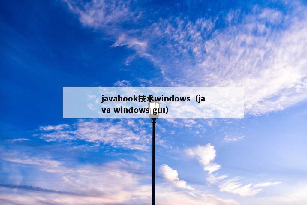 javahook技术windows（java windows gui）