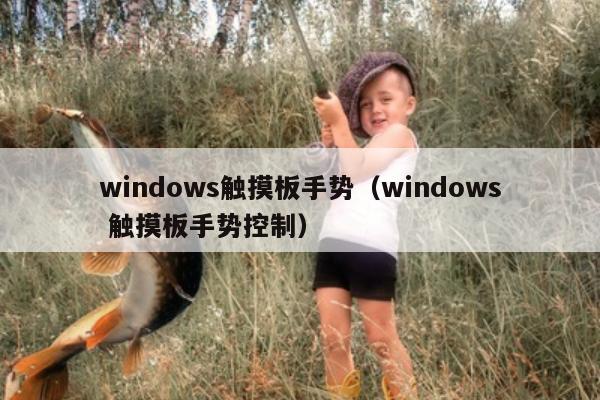 windows触摸板手势（windows 触摸板手势控制）