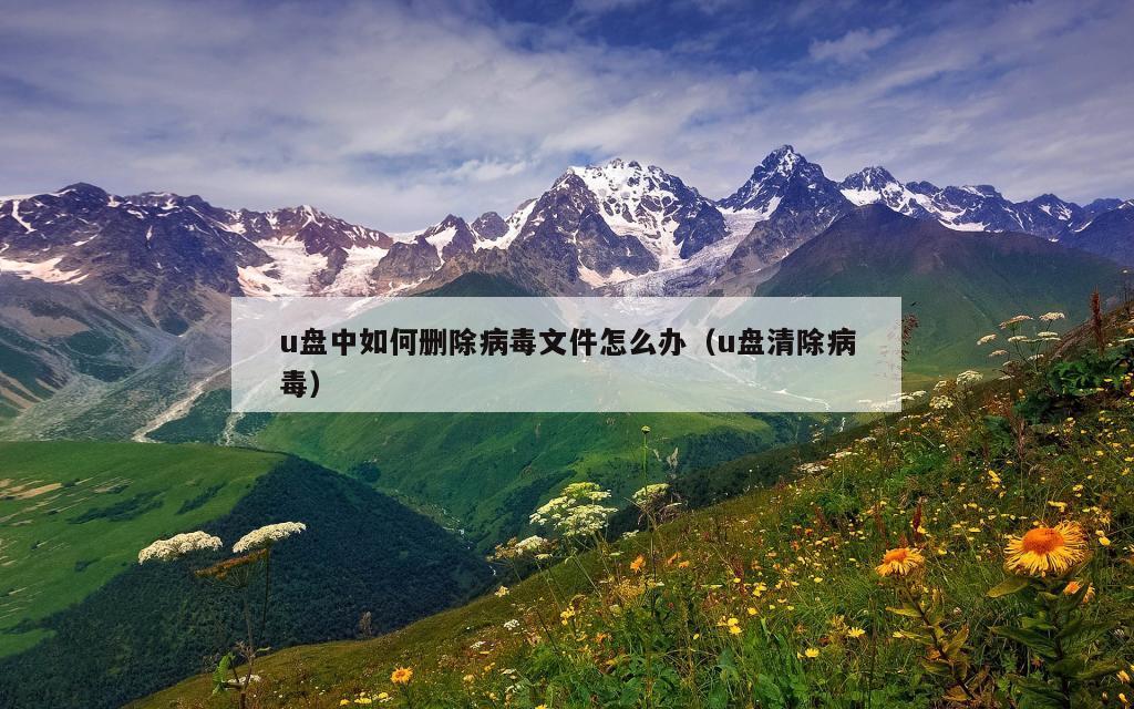 u盘中如何删除病毒文件怎么办（u盘清除病毒）