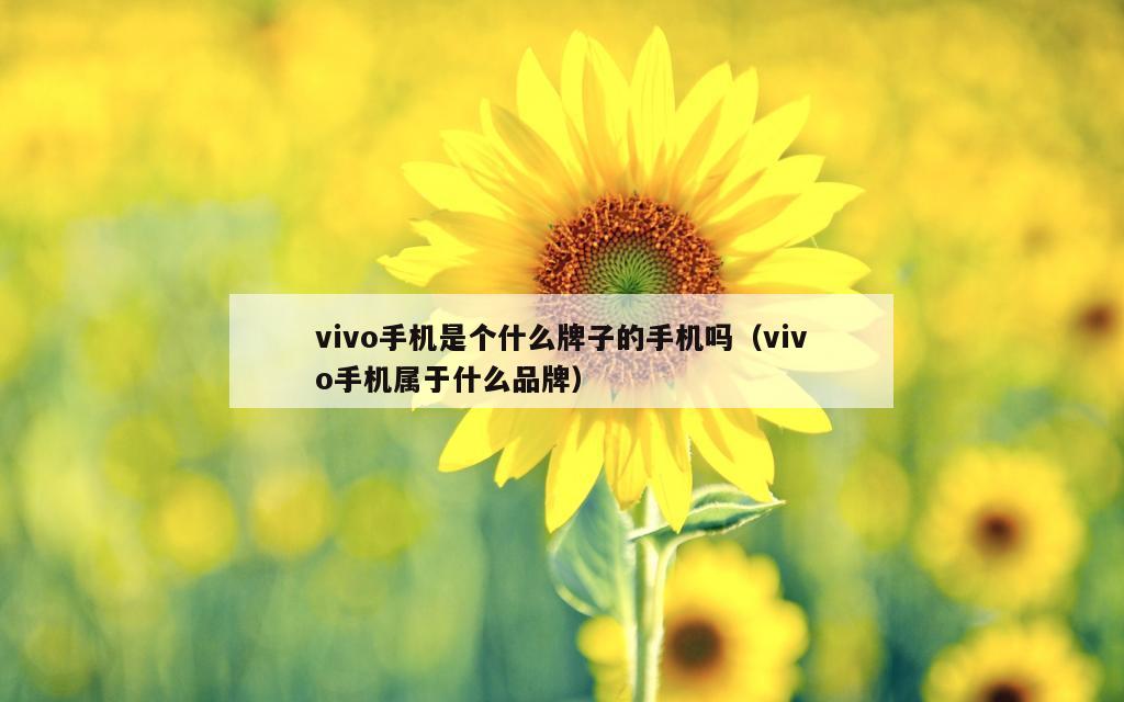 vivo手机是个什么牌子的手机吗（vivo手机属于什么品牌）