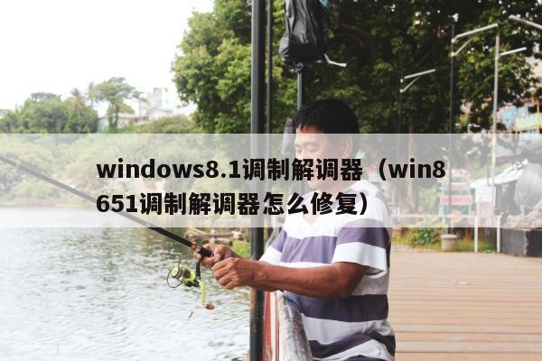 windows8.1调制解调器（win8651调制解调器怎么修复）