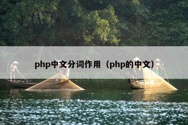 php中文分词作用（php的中文）