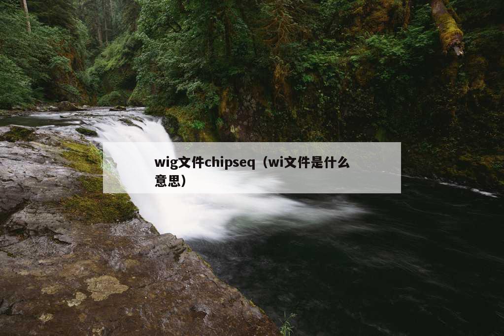 wig文件chipseq（wi文件是什么意思）