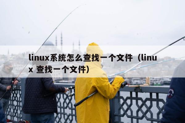 linux系统怎么查找一个文件（linux 查找一个文件）