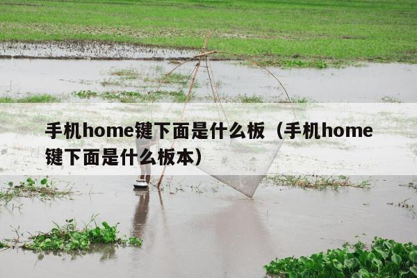 手机home键下面是什么板（手机home键下面是什么板本）