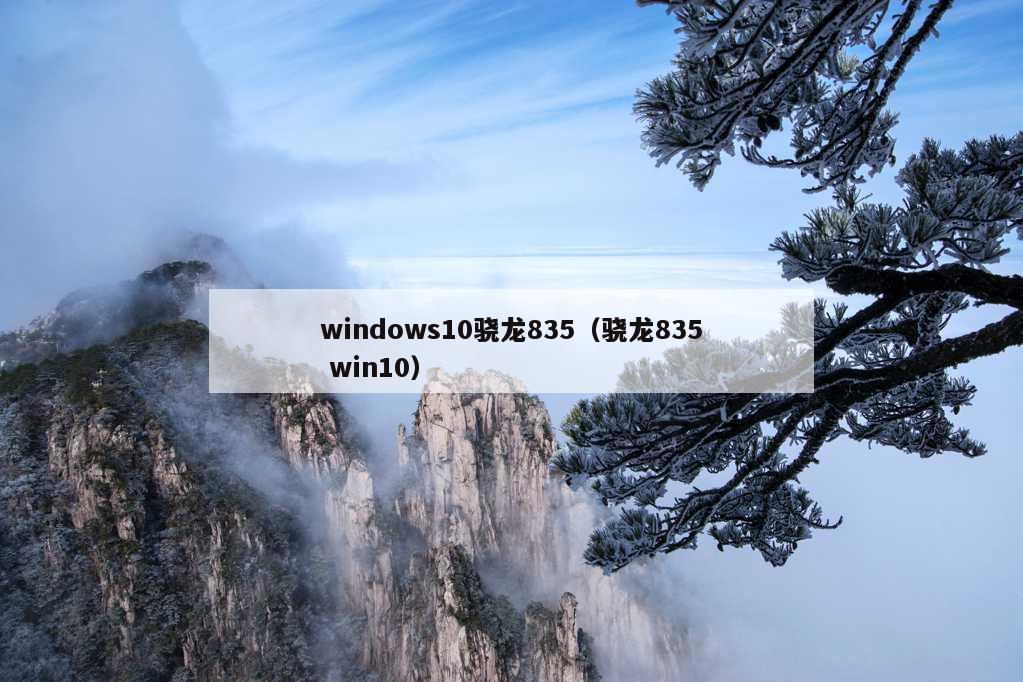 windows10骁龙835（骁龙835 win10）