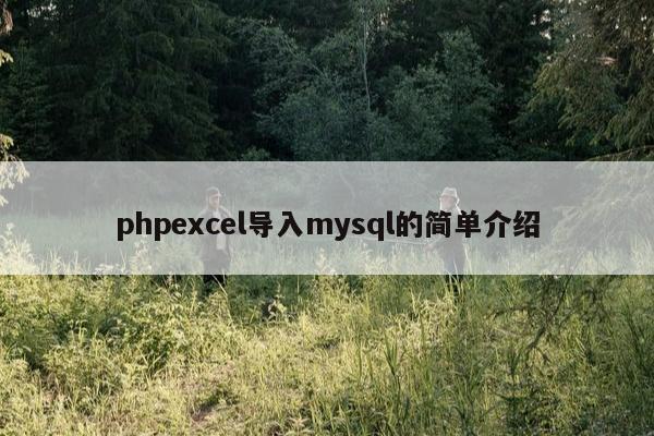 phpexcel导入mysql的简单介绍