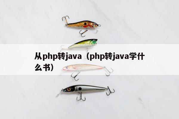 从php转java（php转java学什么书）