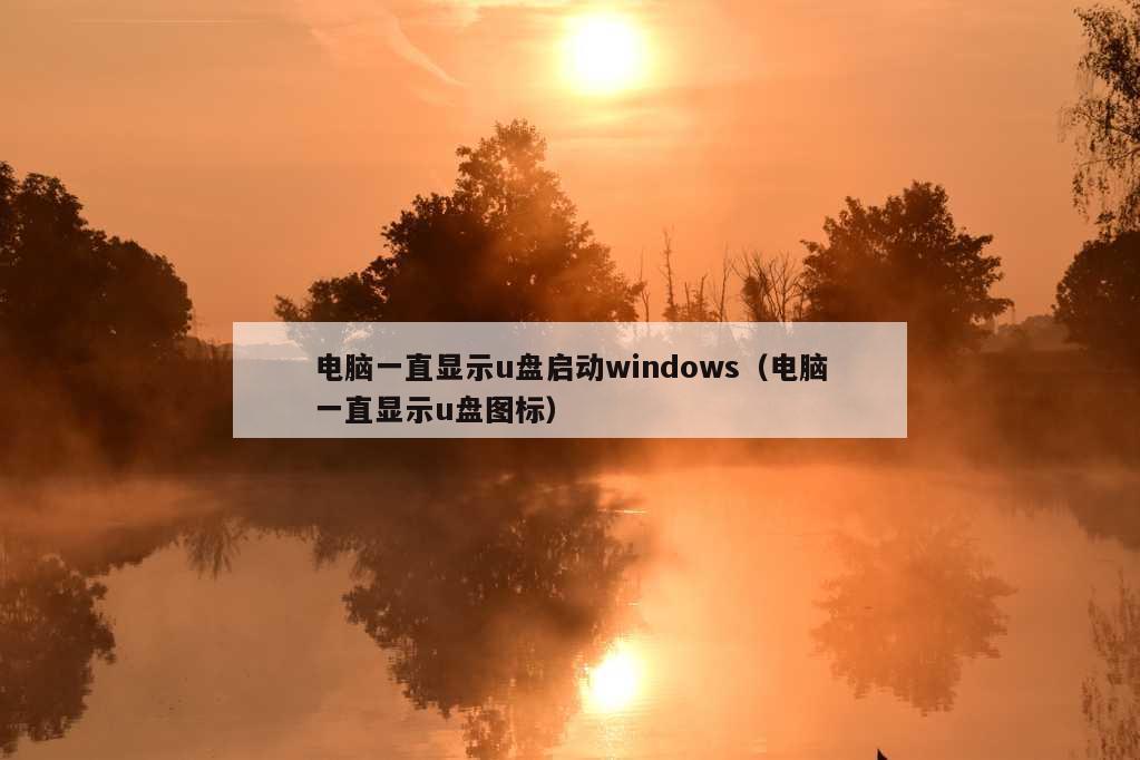 电脑一直显示u盘启动windows（电脑一直显示u盘图标）