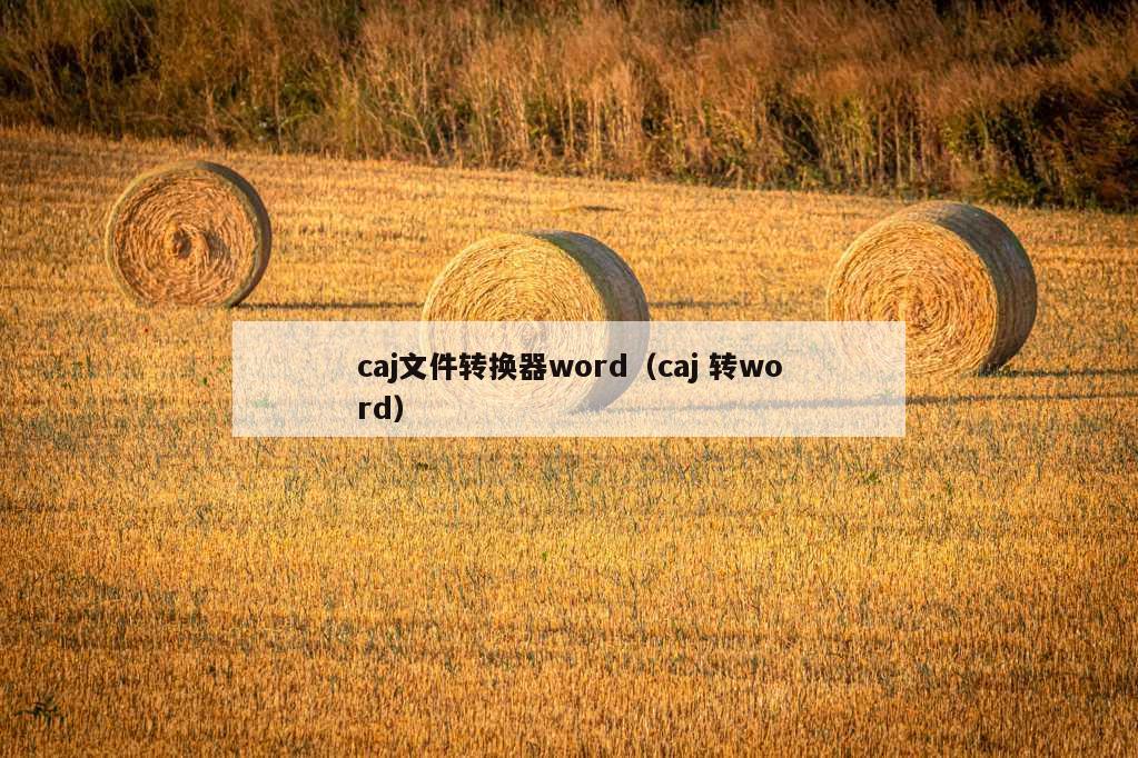 caj文件转换器word（caj 转word）