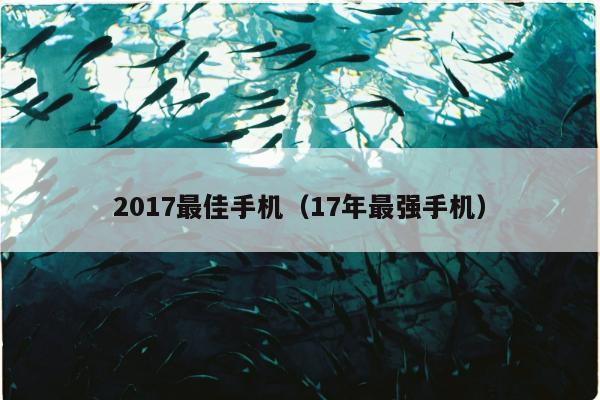 2017最佳手机（17年最强手机）