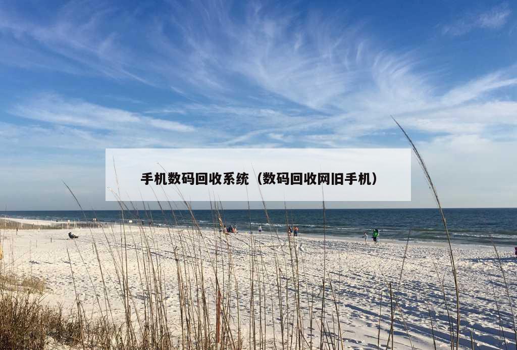 手机数码回收系统（数码回收网旧手机）