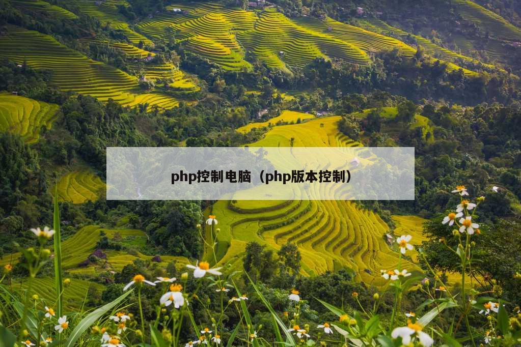 php控制电脑（php版本控制）