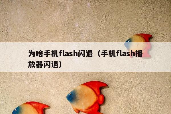 为啥手机flash闪退（手机flash播放器闪退）