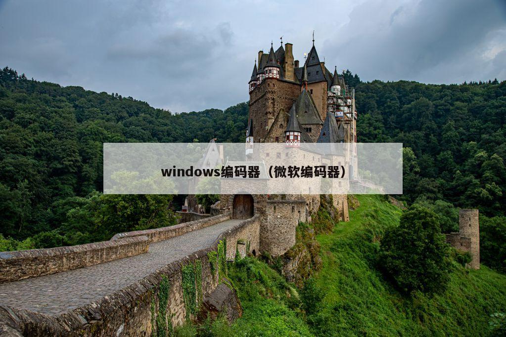 windows编码器（微软编码器）