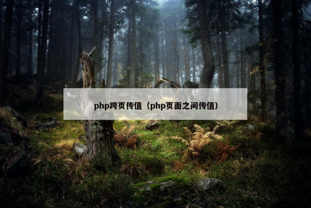 php跨页传值（php页面之间传值）