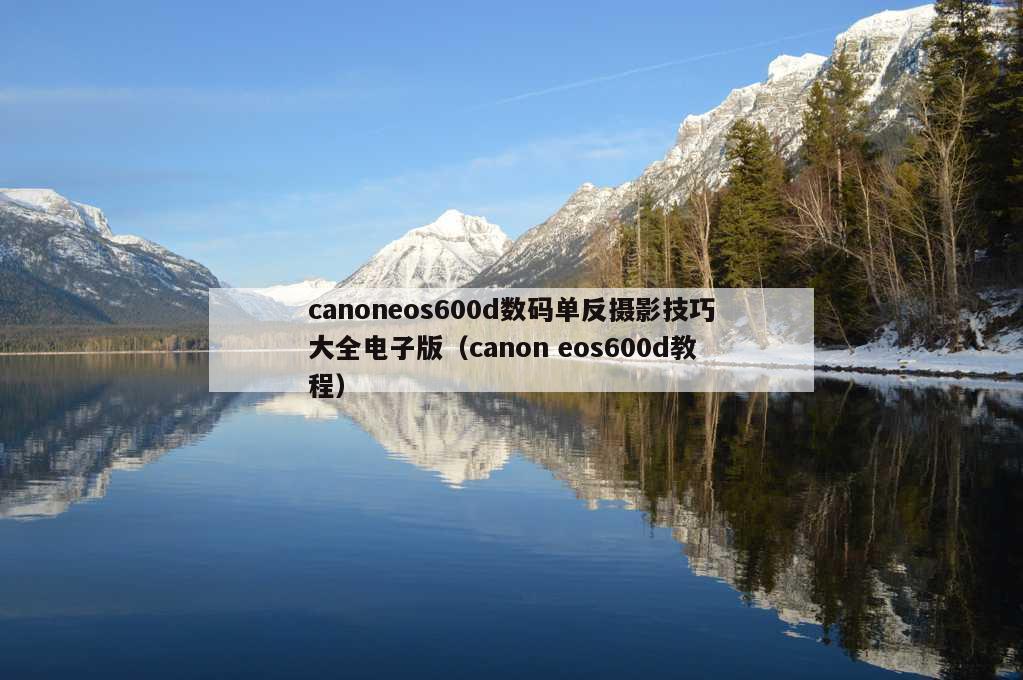 canoneos600d数码单反摄影技巧大全电子版（canon eos600d教程）