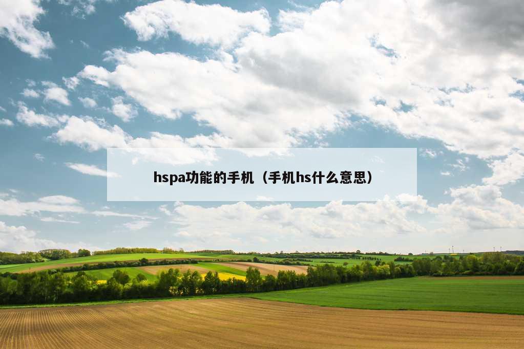 hspa功能的手机（手机hs什么意思）