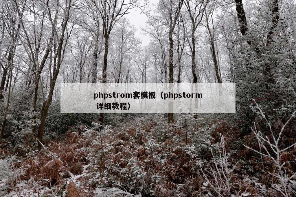 phpstrom套模板（phpstorm 详细教程）