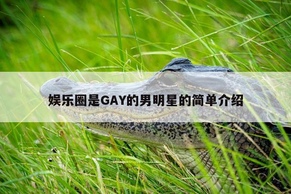 娱乐圈是GAY的男明星的简单介绍