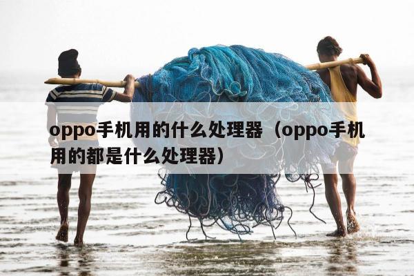 oppo手机用的什么处理器（oppo手机用的都是什么处理器）