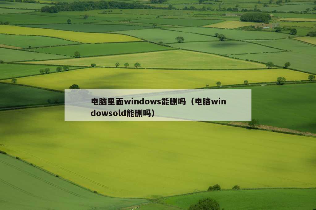 电脑里面windows能删吗（电脑windowsold能删吗）