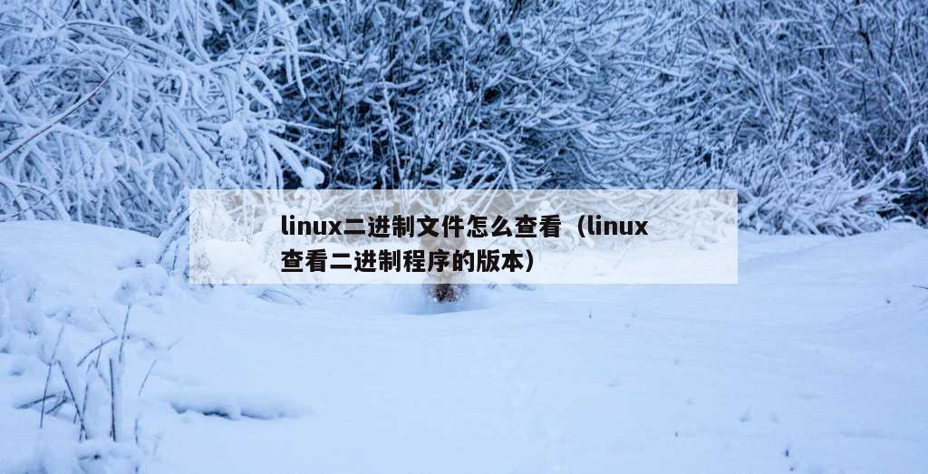 linux二进制文件怎么查看（linux查看二进制程序的版本）