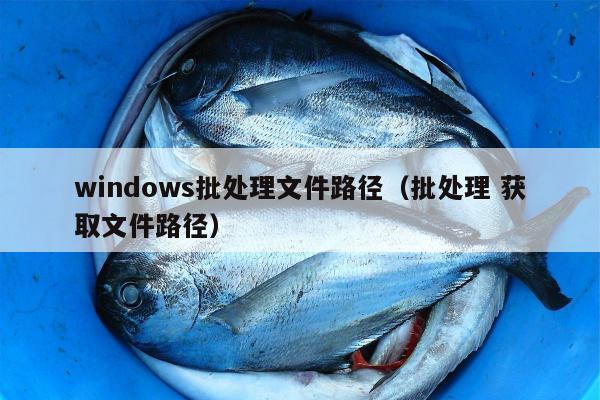 windows批处理文件路径（批处理 获取文件路径）